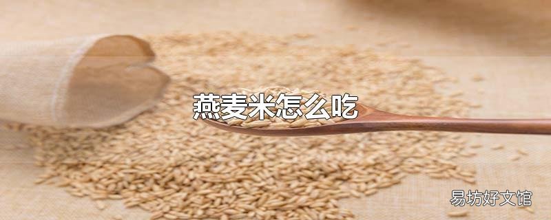 燕麦米怎么吃
