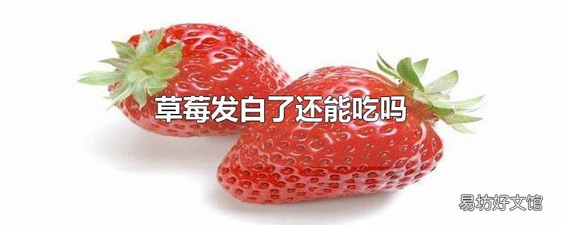 草莓发白了还能吃吗