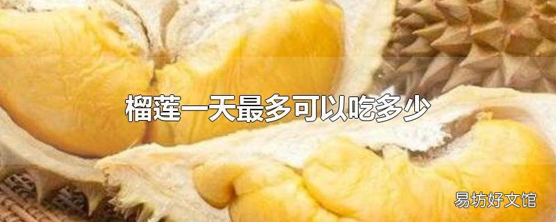 榴莲一天最多可以吃多少