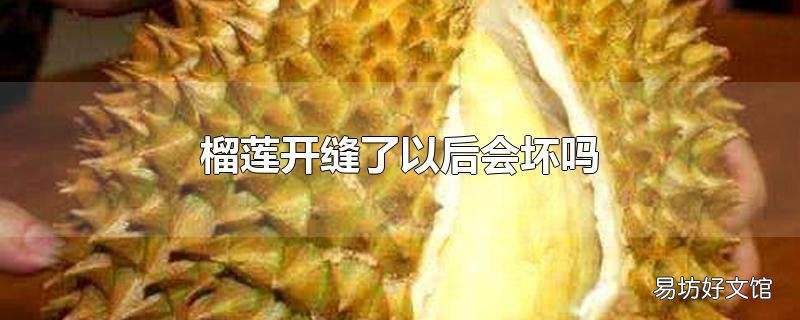 榴莲开缝了以后会坏吗
