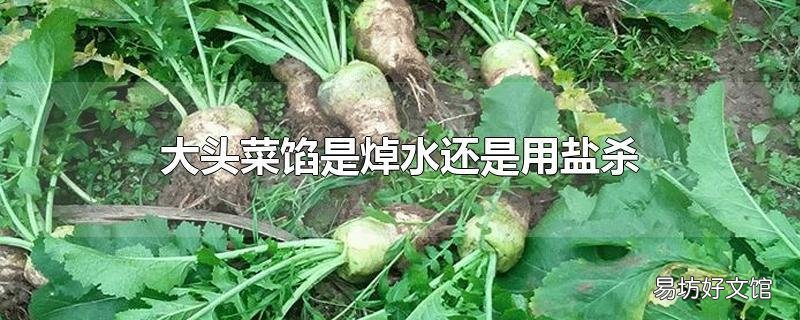 大头菜馅是焯水还是用盐杀