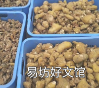 黄精怎么加工