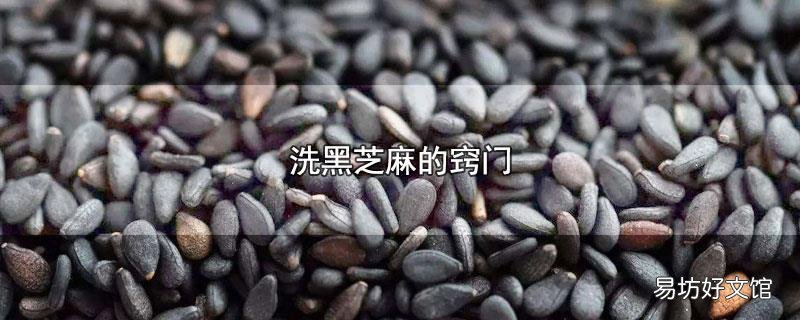 洗黑芝麻的窍门