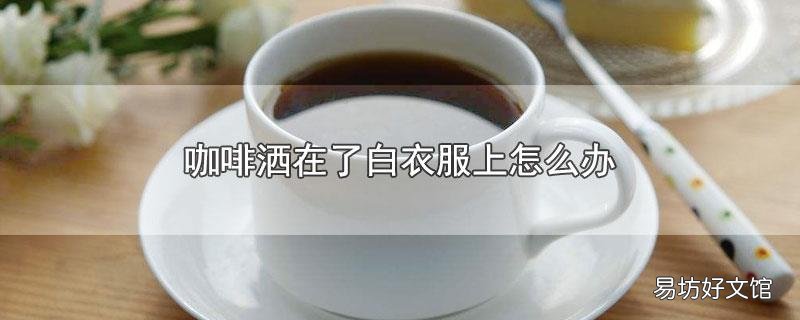 咖啡洒在了白衣服上怎么办