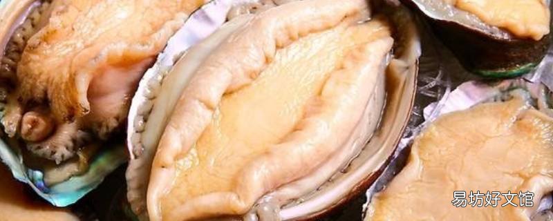 鲍鱼保鲜保存方法