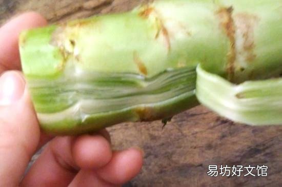 莴苣怎么去皮