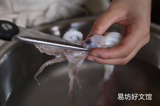 怎么处理鱿鱼