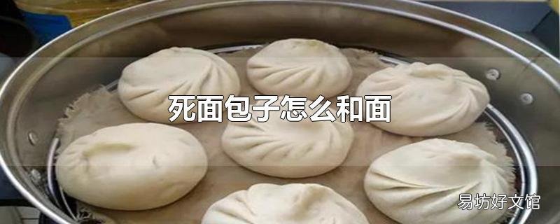 死面包子怎么和面