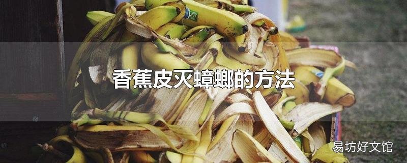 香蕉皮灭蟑螂的方法