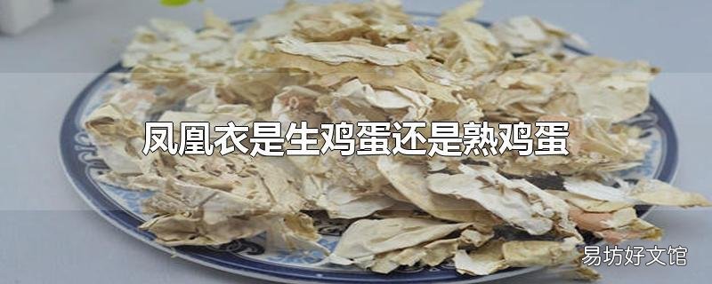 凤凰衣是生鸡蛋还是熟鸡蛋