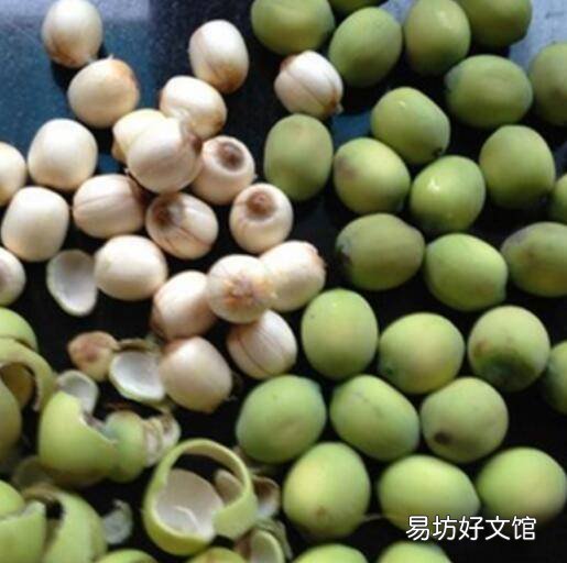 银耳莲子粥怎么做粘稠又好喝