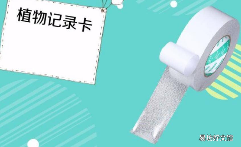 绿萝的记录卡怎么写