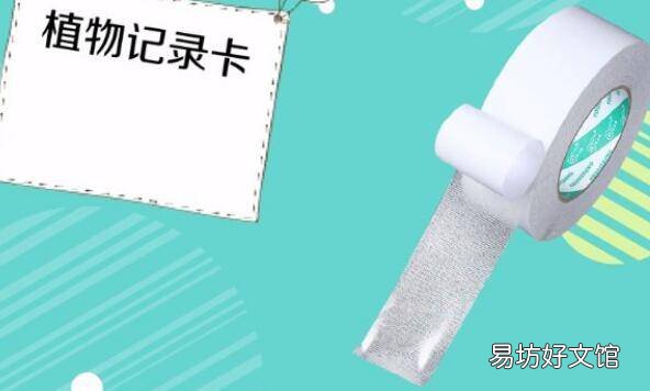 柳树植物记录卡怎么写