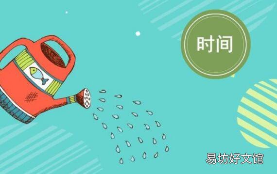 柳树植物记录卡怎么写