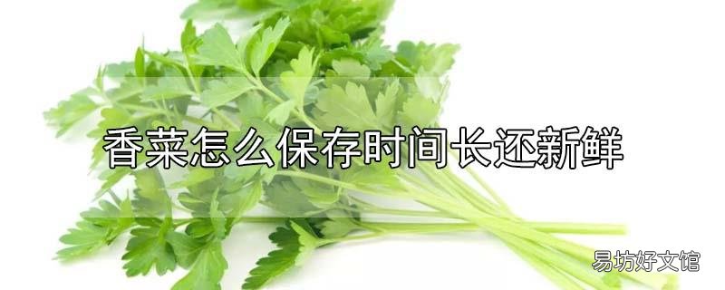 香菜怎么保存时间长还新鲜