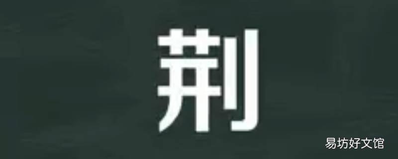 荆怎么读