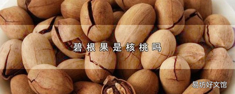 碧根果是核桃吗