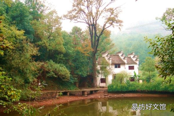 教养关系是什么意思