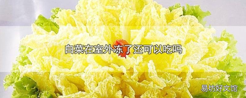 白菜在室外冻了还可以吃吗