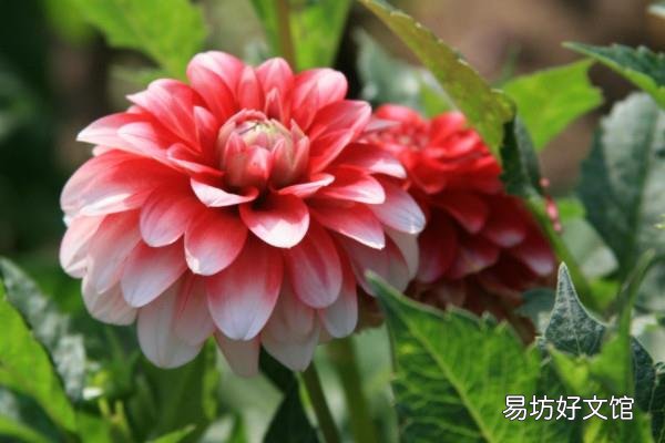 立了春就是春天了吗