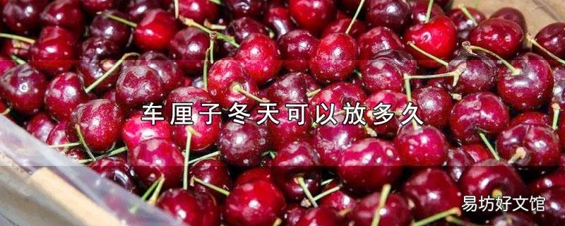 车厘子冬天可以放多久