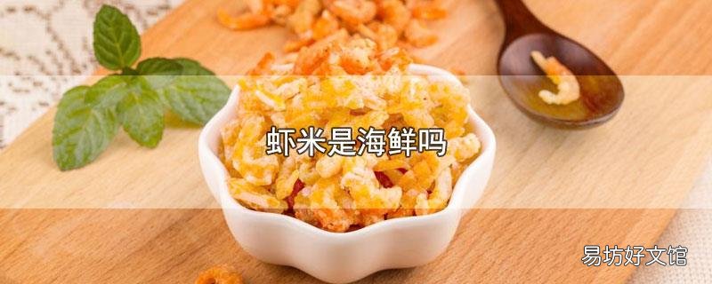 虾米是海鲜吗