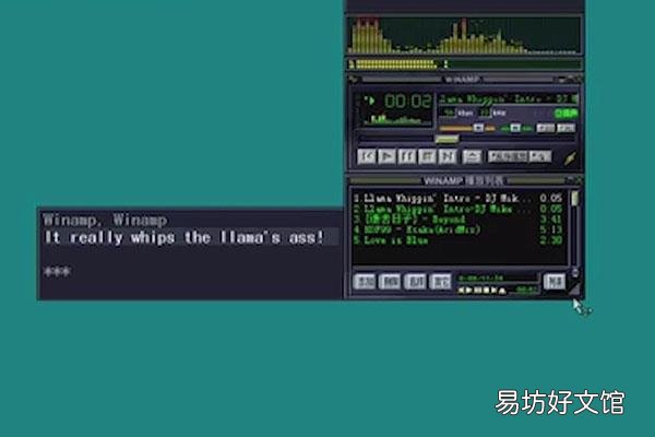 msn是什么