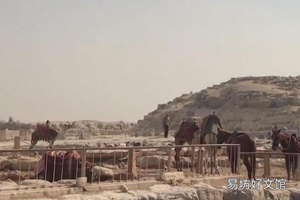 埃及属于哪个洲