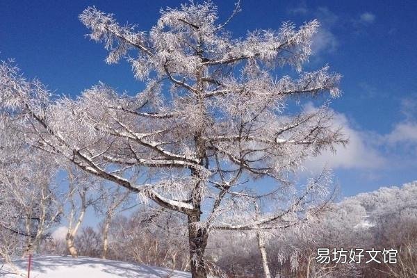 冬天夜长还是夜短