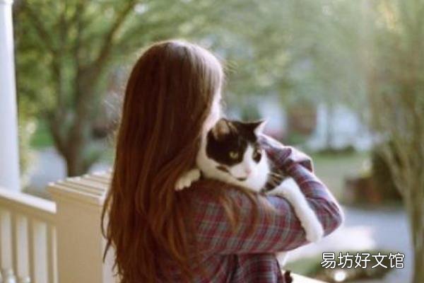 人红是非多什么意思