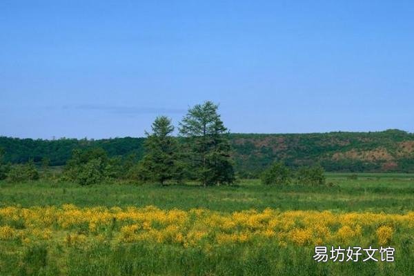 988什么意思