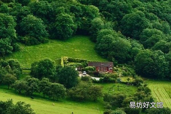 抖内是什么意思