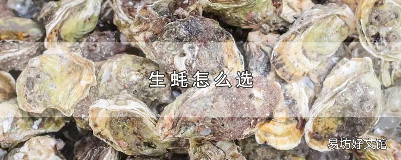 生蚝怎么选