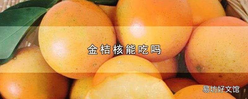 金桔核能吃吗