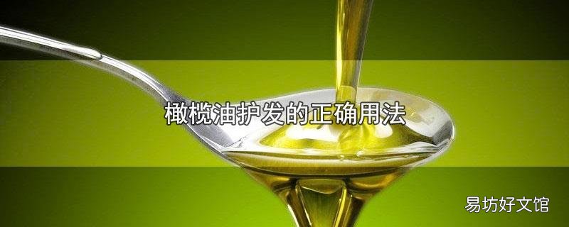 橄榄油护发的正确用法