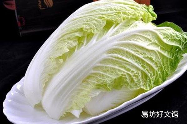 白菜是什么暗语