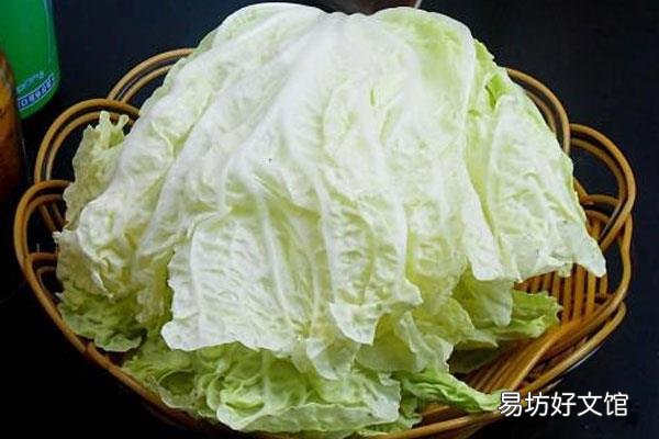 白菜是什么暗语