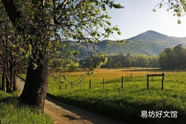 商标上有个R标是什么意思