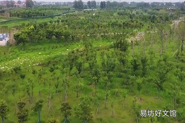 涡阳县属于哪个市