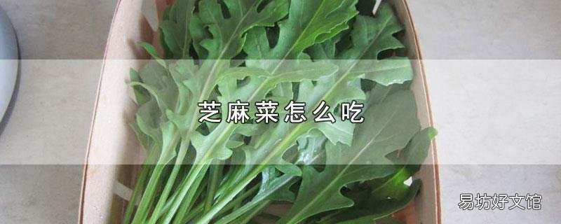 芝麻菜怎么吃
