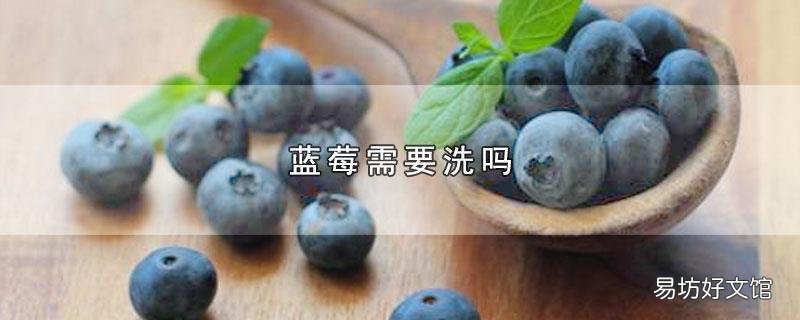 蓝莓需要洗吗