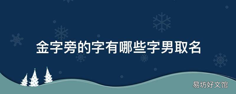 金字旁的字有哪些字男取名