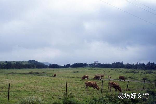 不客气与不用客气一样吗