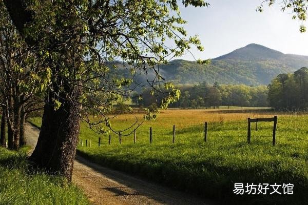 不客气与不用客气一样吗