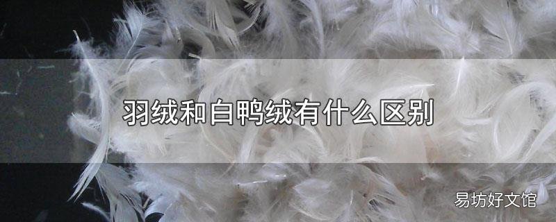羽绒和白鸭绒有什么区别