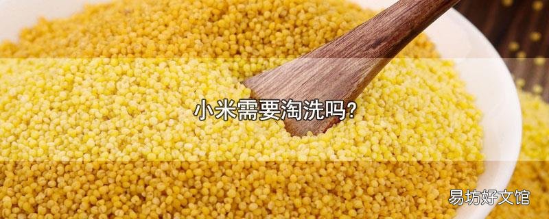 小米需要淘洗吗?