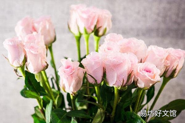 十七年是什么婚