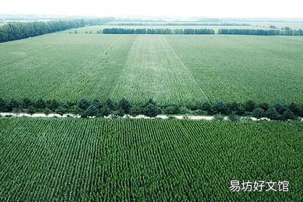 三江指的是哪三江