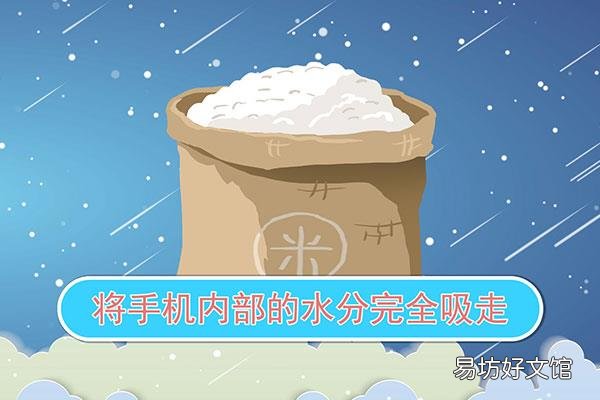 手机掉水里了应该怎么处理