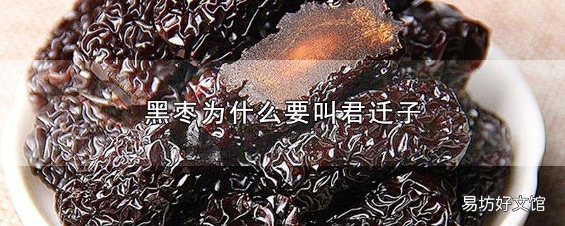 黑枣为什么要叫君迁子